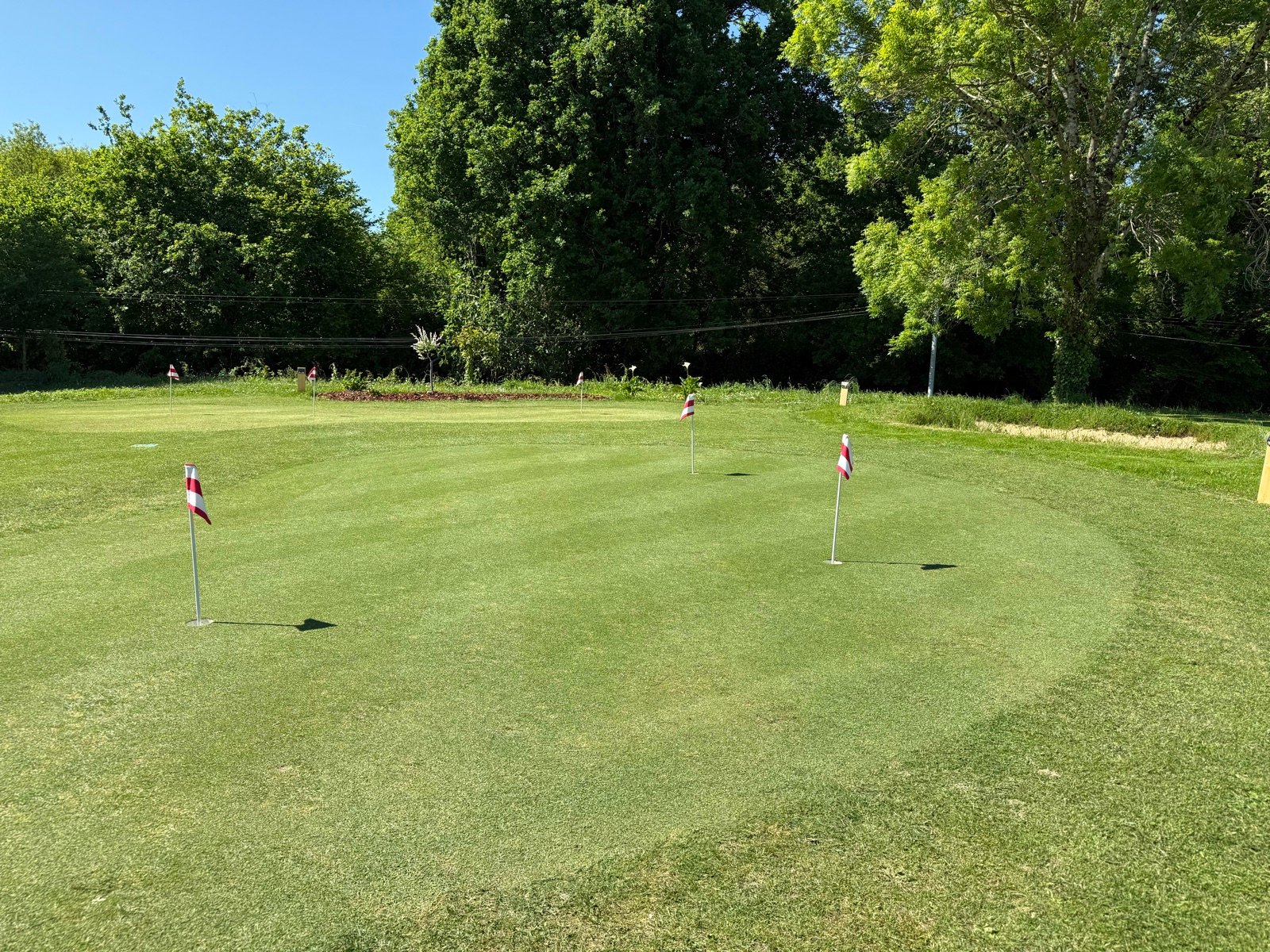 Green de golf privé terminé avec plusieurs drapeaux