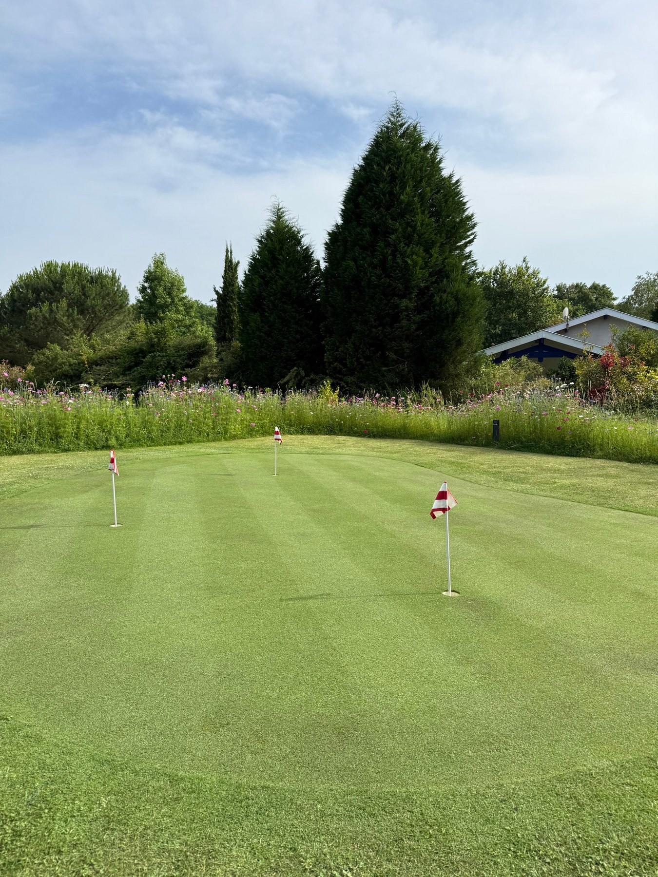 Green de golf privé entouré de fleurs des champs